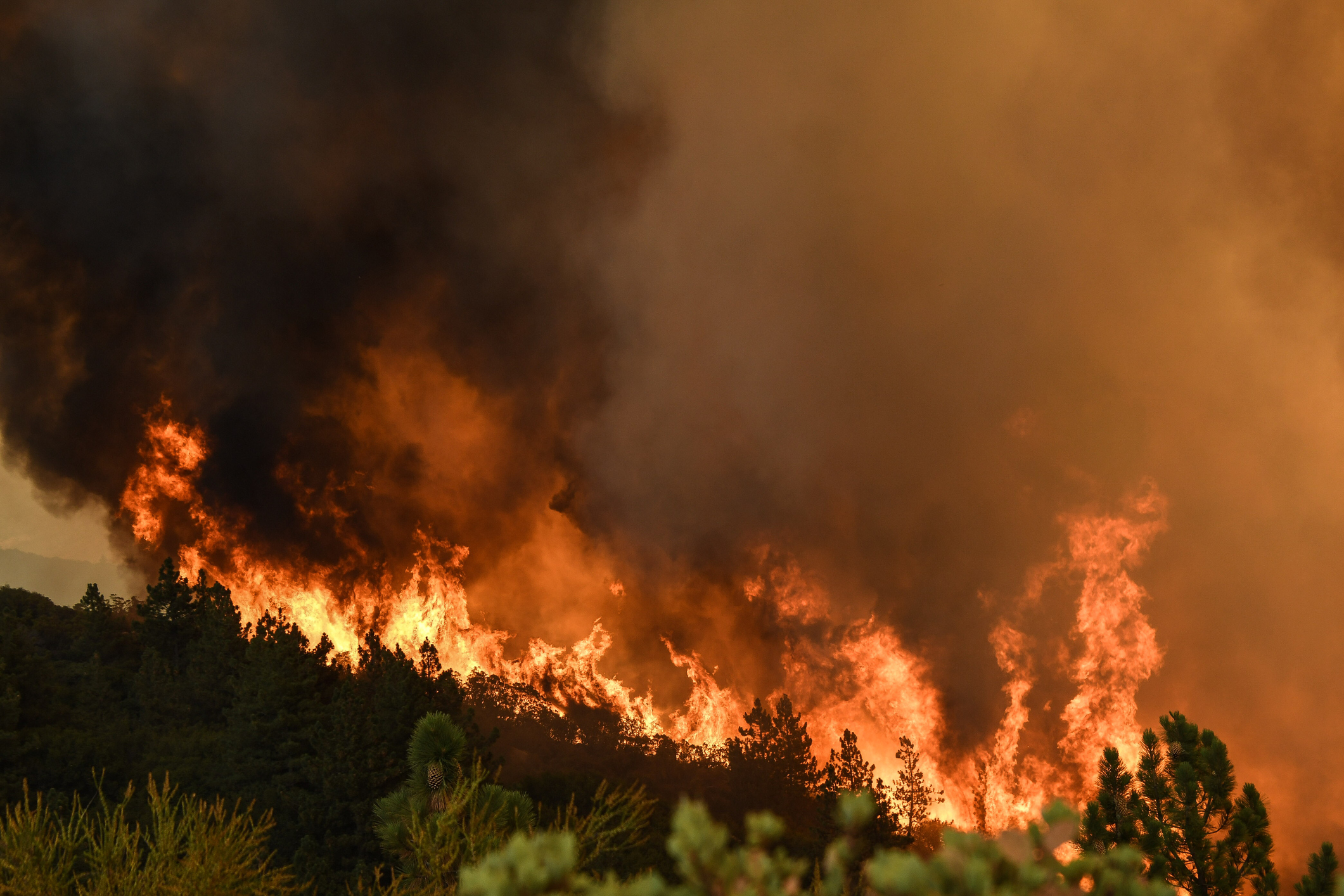 Wildfire in California