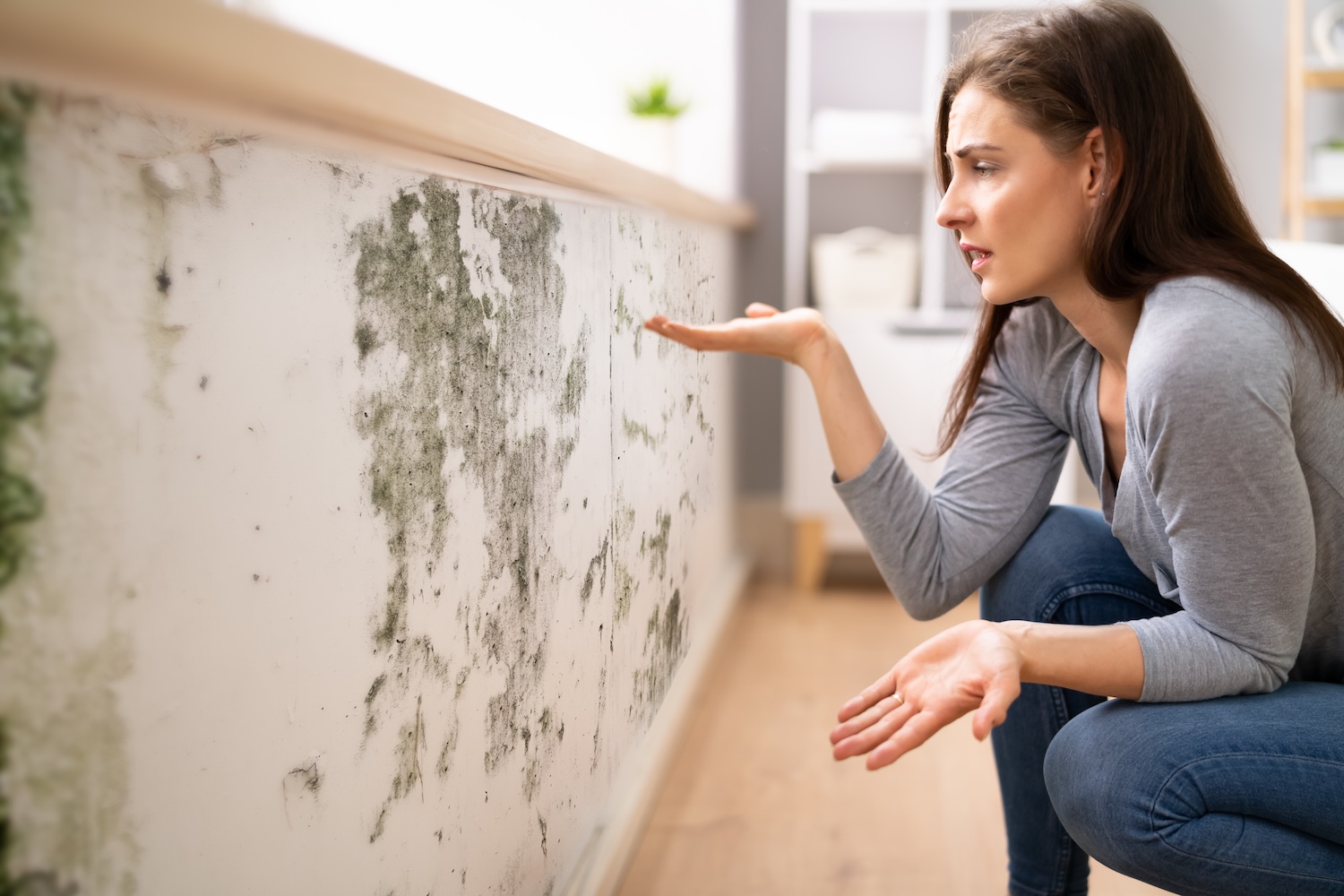 Mold vs. Mildew: What’s the Difference and Why It Matters